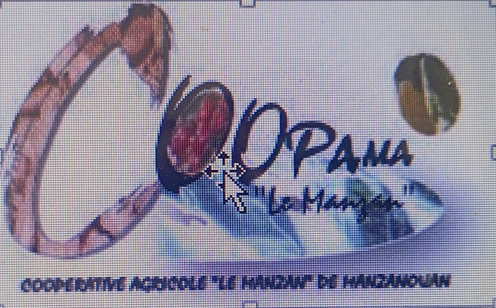 COOPAMA COOPCA